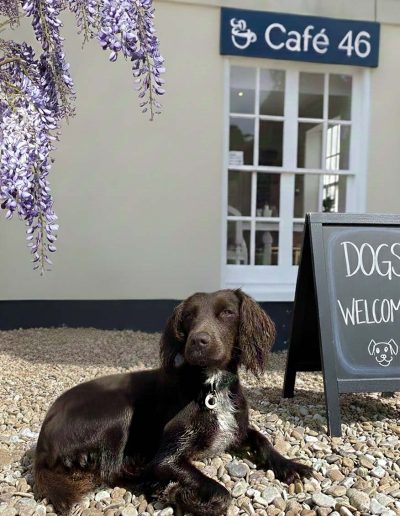 Dog Friendly Café 46, Wickham Market